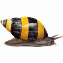 piotrgrab - zdjęcie